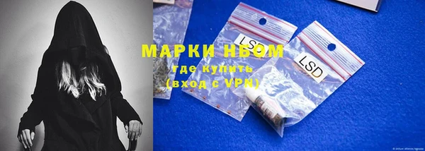 сатива Алзамай