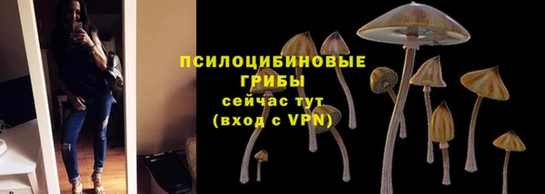 мяу мяу кристалл Алексин