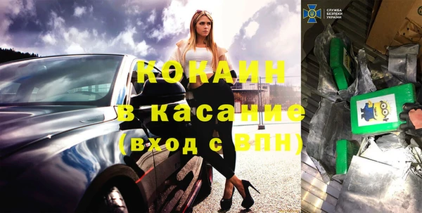 сатива Алзамай
