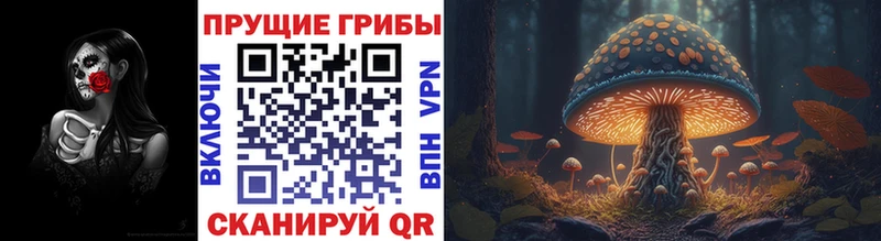 Галлюциногенные грибы Psilocybe  нарко площадка как зайти  Харабали 