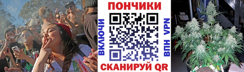 Конопля OG Kush  Харабали 